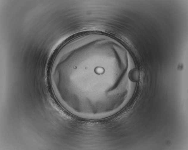 X0000111120780200907211049