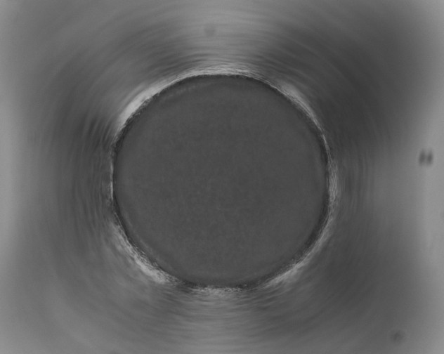 X0000111120781200907211049