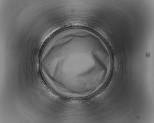 X0000111120782200907211049