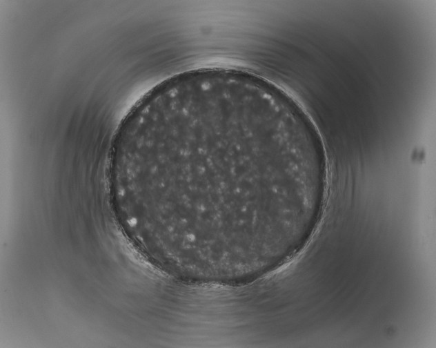 X0000111120783200907211049