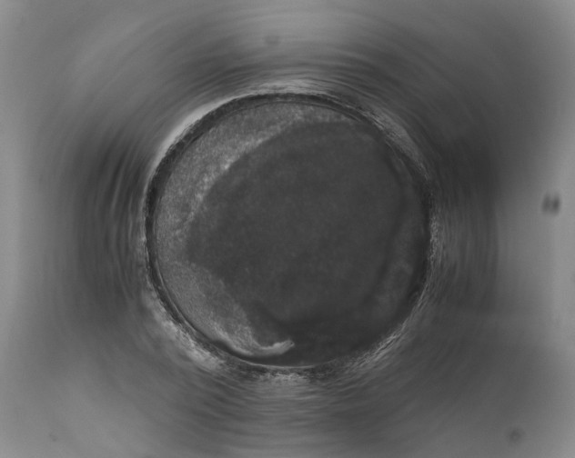 X0000111120784200907211049