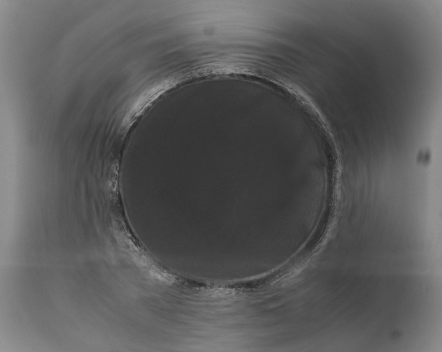 X0000111120785200907211049