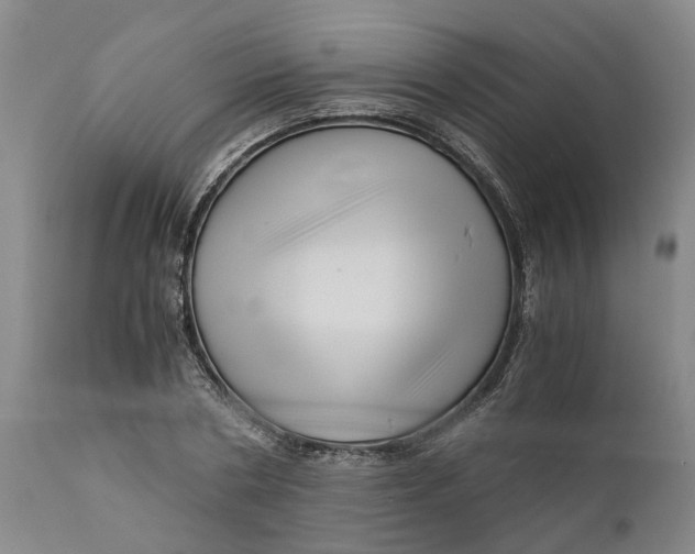 X0000111120786200907211049