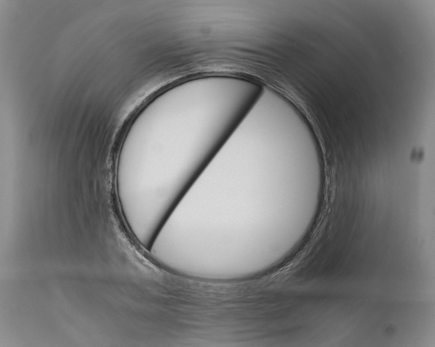 X0000111120787200907211049