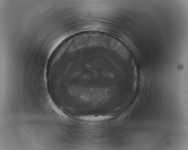 X0000111120788200907211049