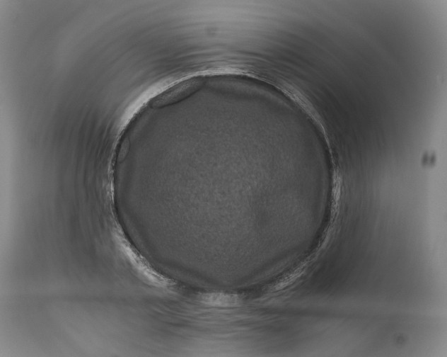 X0000111120789200907211049