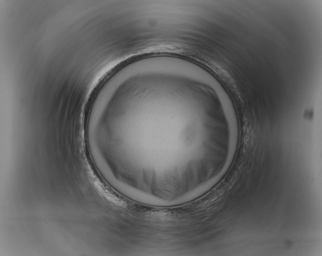 X0000111120792200907211049