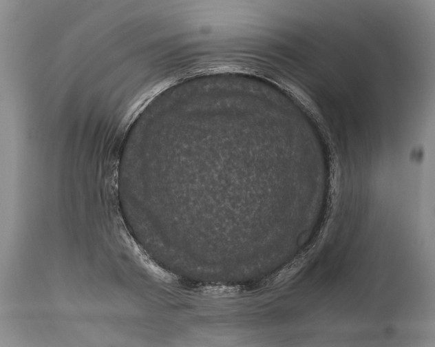 X0000111120793200907211049