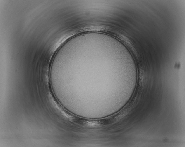 X0000111120794200907211049