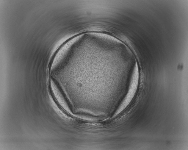 X0000111120795200907211049