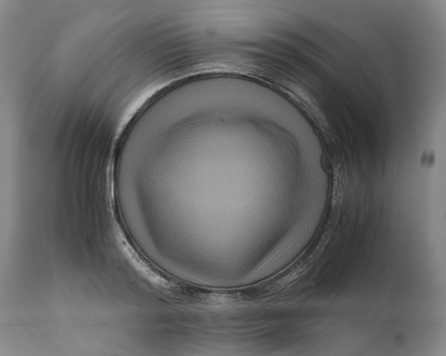 X0000111120796200907211049