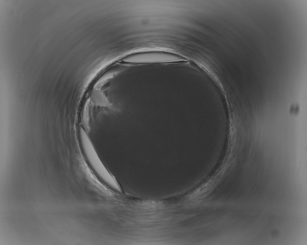 X0000111120797200907211049