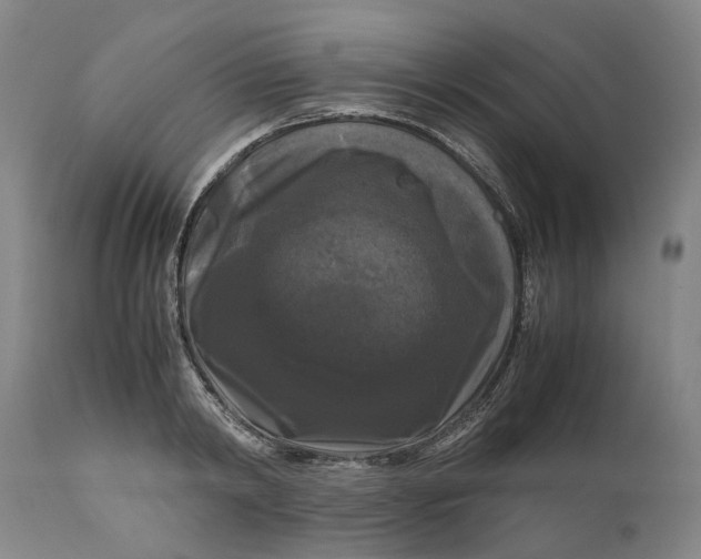 X0000111120798200907211049