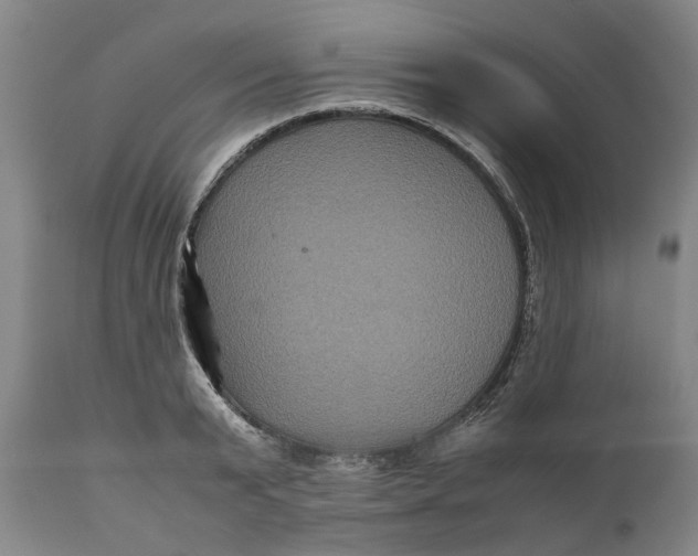 X0000111120799200907211049