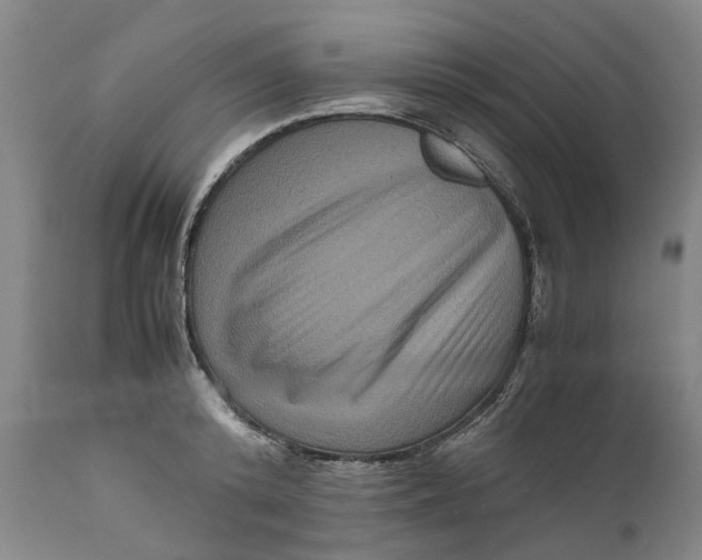 X0000111120800200907211049