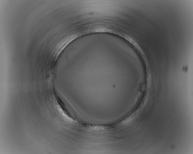 X0000111120801200907211049