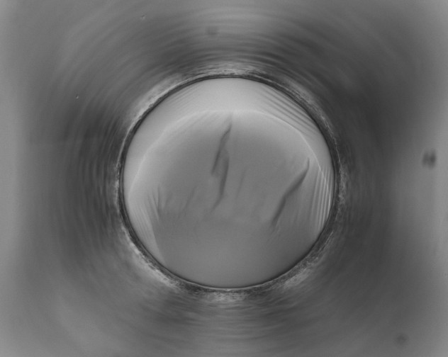 X0000111120802200907211049