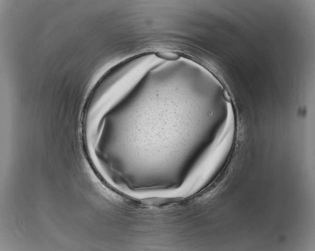 X0000111120803200907211049