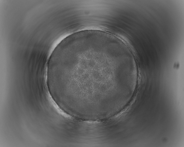 X0000111120804200907211049