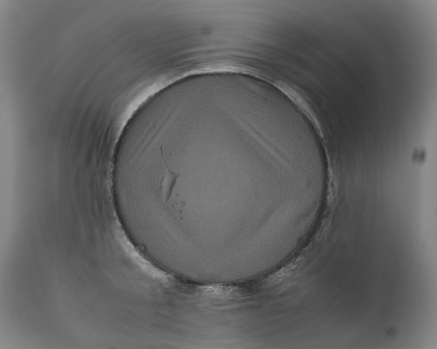 X0000111120805200907211049