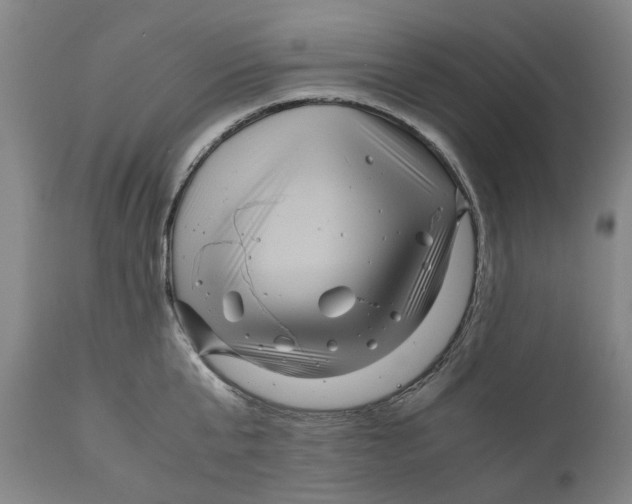 X0000111120807200907211049