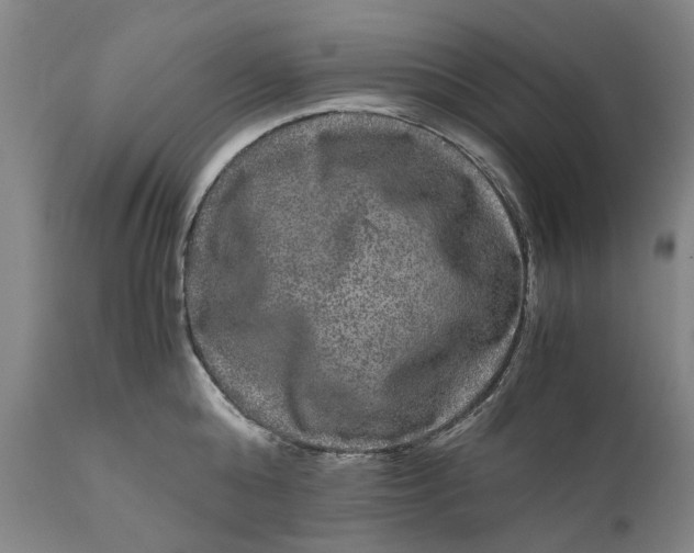 X0000111120808200907211049