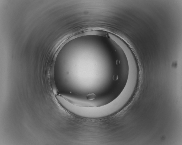 X0000111120809200907211049