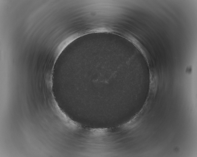 X0000111120810200907211049