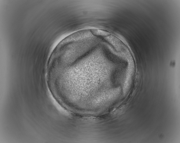 X0000111120811200907211049