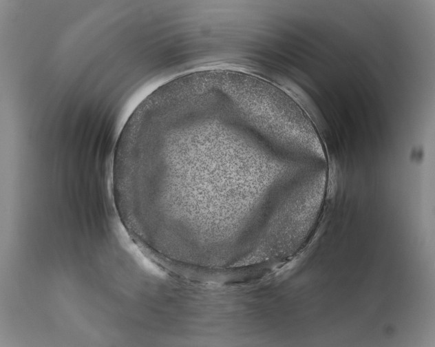 X0000111120812200907211049