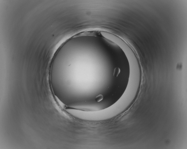 X0000111120813200907211049