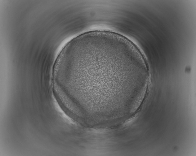 X0000111120815200907211049
