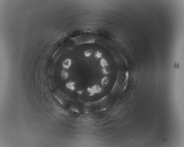 X0000111120817200907211048