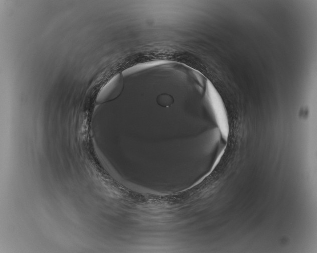 X0000111120818200907211048