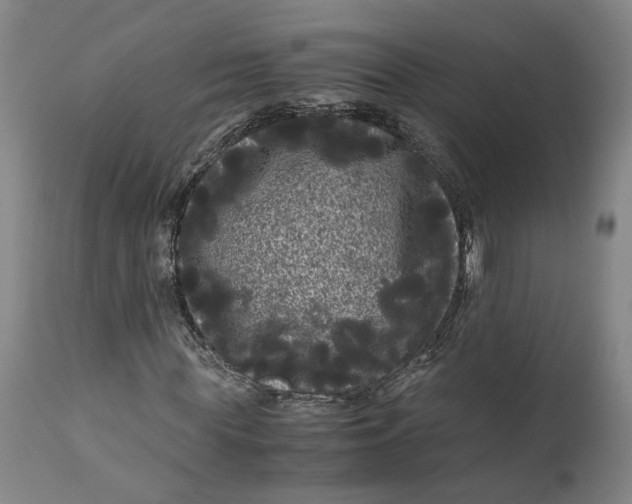 X0000111120819200907211048