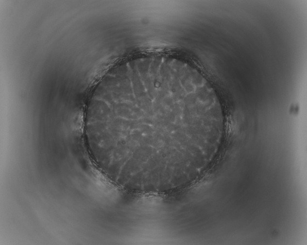 X0000111120820200907211048