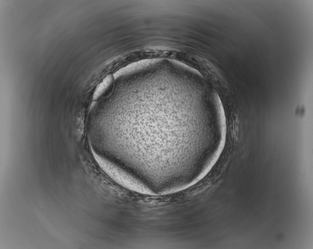 X0000111120821200907211048