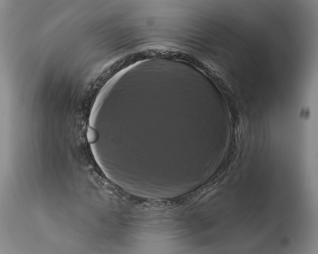 X0000111120822200907211048