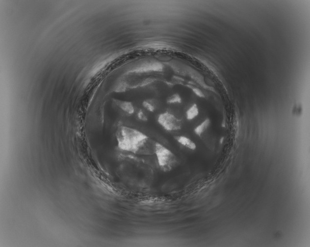 X0000111120823200907211048