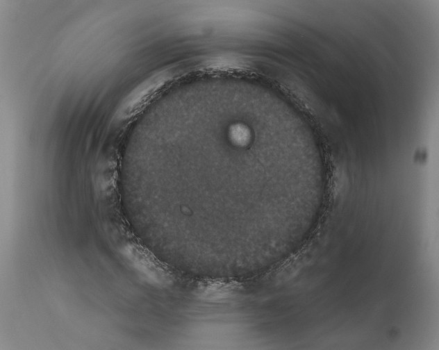 X0000111120824200907211048