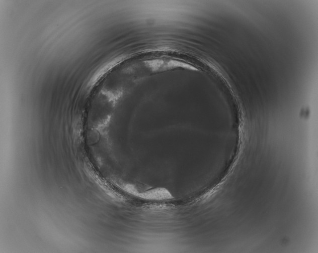 X0000111120826200907211048