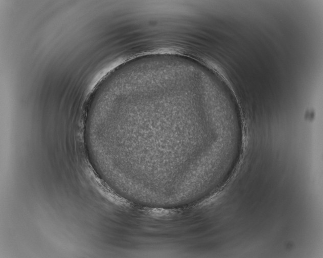 X0000111120827200907211048