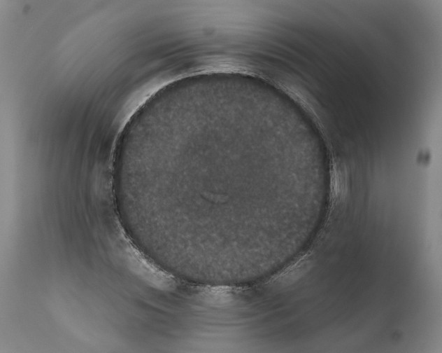 X0000111120828200907211048