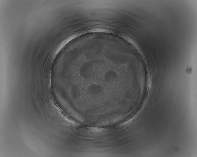 X0000111120829200907211048