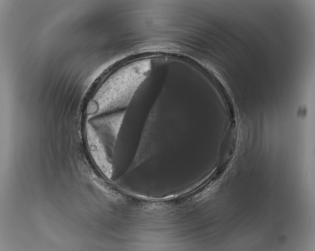 X0000111120830200907211048