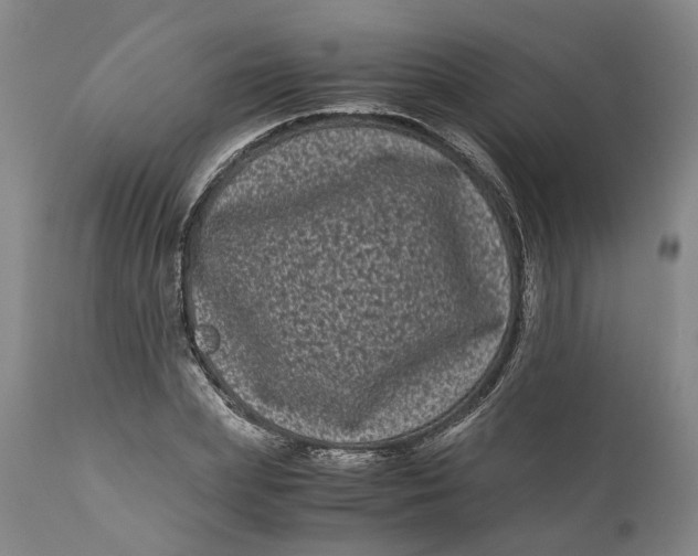 X0000111120831200907211048