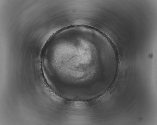 X0000111120832200907211048