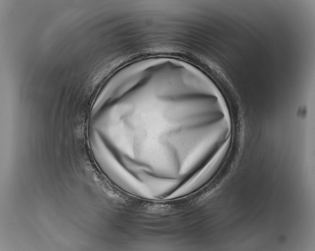 X0000111120833200907211048