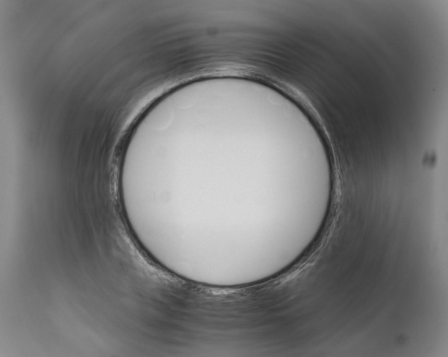 X0000111120835200907211048