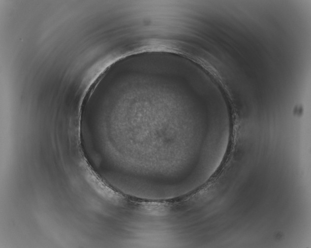 X0000111120836200907211048